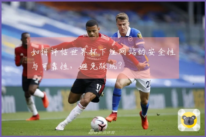 如何评估世界杯下注网站的安全性与可靠性，避免踩坑？