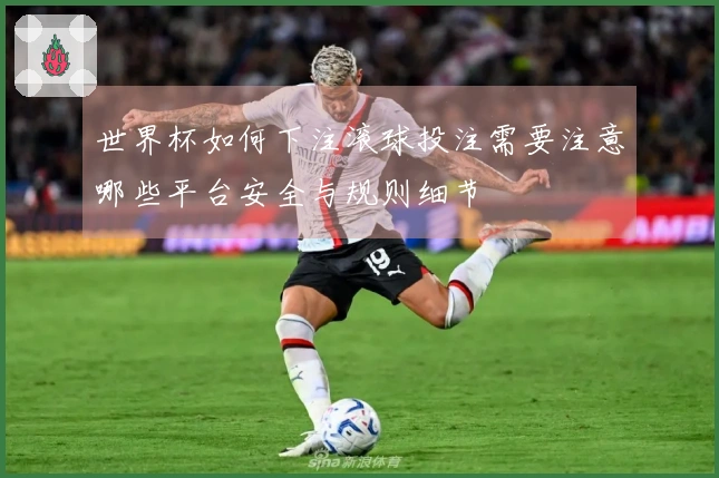 世界杯如何下注滚球投注需要注意哪些平台安全与规则细节